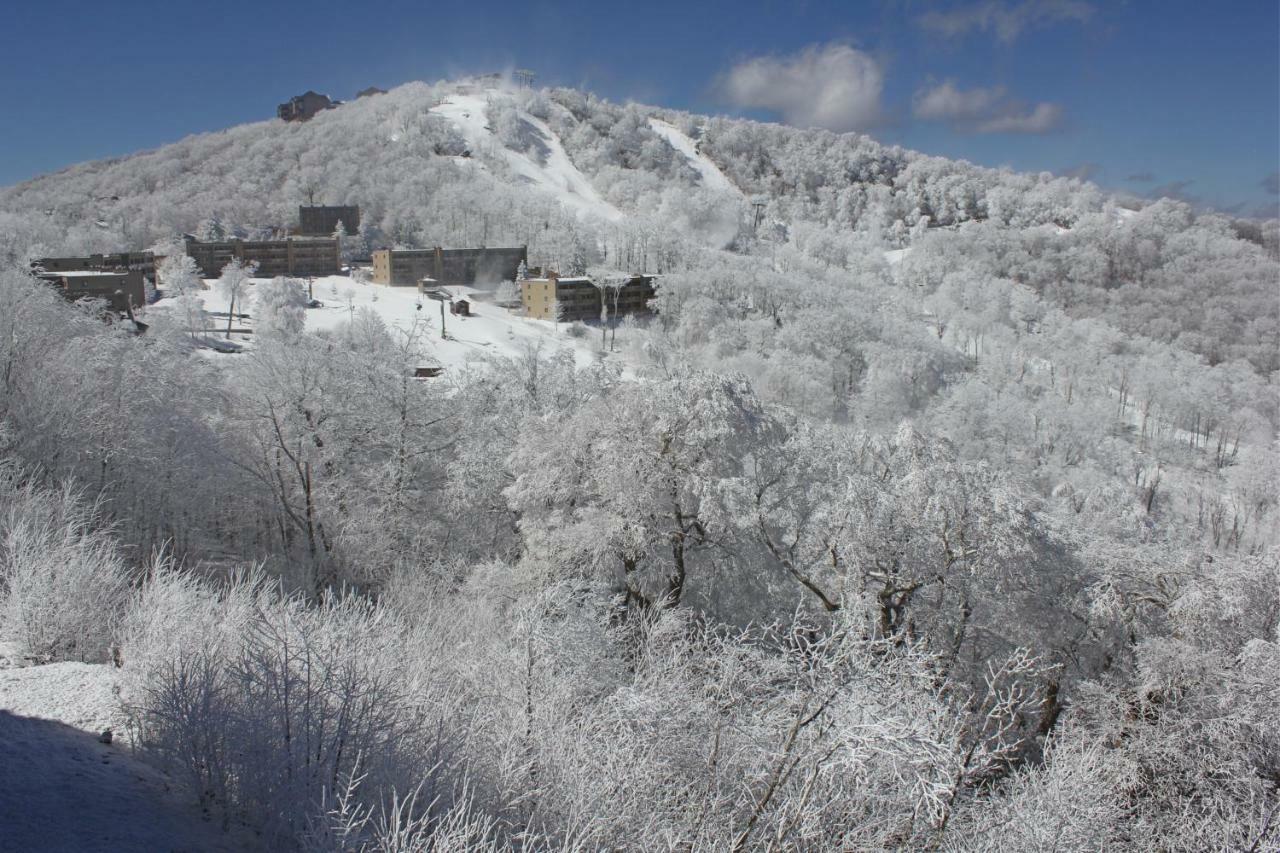 Sugar Ski 11-202 Sugar Mountain Dış mekan fotoğraf